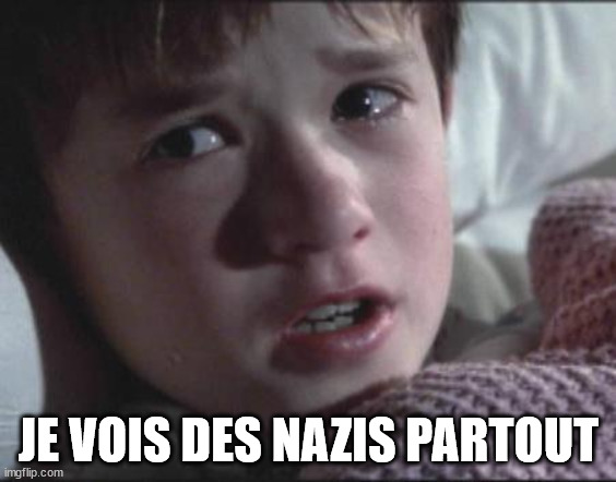 Je vois des nazis partout meme